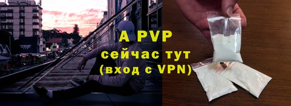 PSILOCYBIN Бугульма