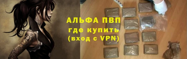 PSILOCYBIN Бугульма