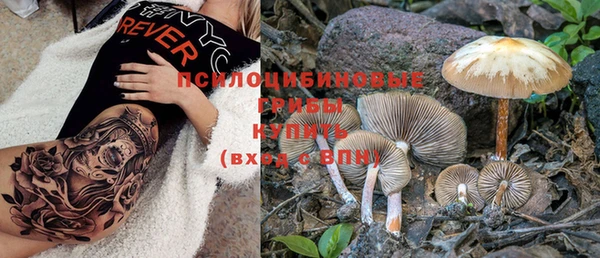 не бодяженный Бородино