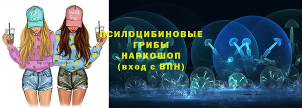 не бодяженный Бородино